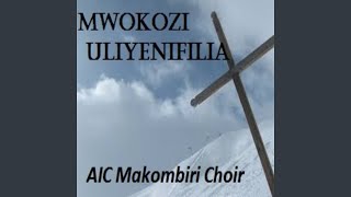 Mwokozi Uliyenifilia