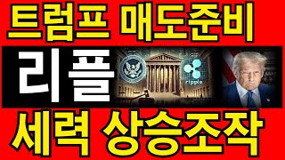 [리플]XRP 트럼프 매도준비 목표가=만원, 세력은 상승조작 시작했네요 단독으로 보고합니다!