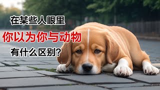 “狗版清零”来世如果还做狗，换个地方吧。