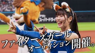 2024年ファイターズガール新メンバーオーディション開催