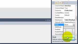 Databases in Visual Basic 2010