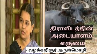 திராவிடத்தின் அடையாளம் எருமை - தி.க.|Advocate Arulmozhi|Kappudu|Tamil