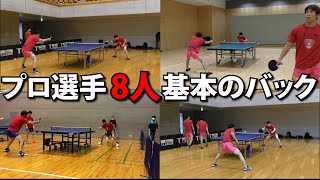 【誰が好き？】プロ卓球選手8人、基本のバック【琉球アスティーダ】