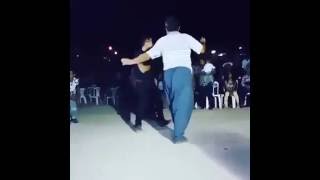 Hacı abimiz düğünde kopuyor (Aşırı Twerk İçerir)