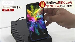 シャープの折り畳みスマホ・・・30万回ぐにゃりもクリア(19/04/10)