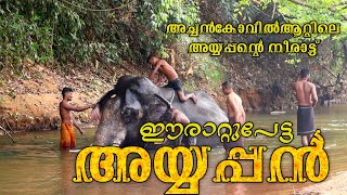 erattupetta ayyappan|| അച്ചൻകോവിലാറ്റിലെ നീരാട്ടിൽ ഈരാറ്റുപേട്ട അയ്യപ്പനും സാരഥിമാരും #kerala 🐘🐘🐘🐘🐘🐘