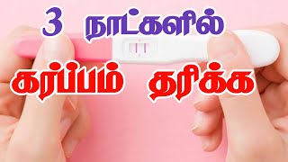 விரைவில் கரு தரிக்க 🤝மறக்காம இதை பண்ணுங்க | Early Pregnancy Tips |