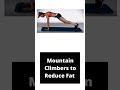 Mountain_Climbers to Reduce Belly Fat