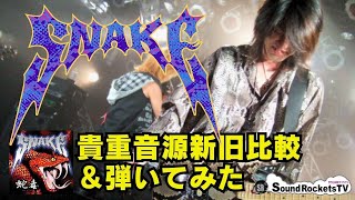 【巳年記念】SNAKE 思い出とともに弾いてみた【ジャパメタ】