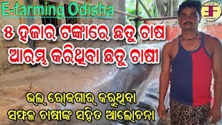 ଛତୁ ଚାଷ ଆରମ୍ଭ କରନ୍ତୁ ୫ ହଜାର ଟଙ୍କାରେ (start mushroom farming in 5 thousand rupees).