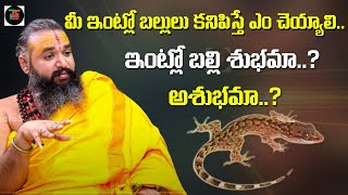 Lizard Falling Effects  | ఇంట్లో తరచుగా బల్లులు కనబడితే ఇక ఆ ఇంట్లో జరగబోయేది ఇదే || DG STUDIO 5