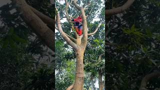 হেনার জন্য বিদেশ থেকে চলে আসলাম#shortvideo #viralvideo #comedy #funny #foryou #youtubeshorts