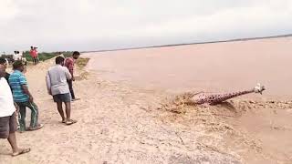 Kalingapatnam.....beach rare cyclone video