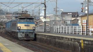 JR貨物 EF66-54 専用貨物列車①(6170レ EF66 0番台 青ワム80000) 垂井駅