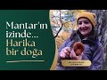 Kazdağları'nda Mantar Avı | Yağmurlu Bir Günde Doğada Keşif