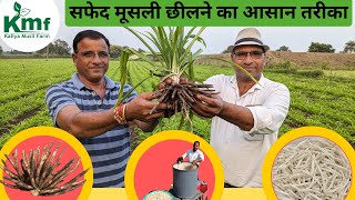 मूसली कैसे छीलते है? 9926054093, 9977481791 | Musli kaise chhilte hai? | Kaliya Musli Farm #farming