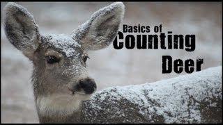 Basic Sampling Techniques - Counting Deer