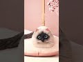 product link in bio 878 ✅ realistic cat handmade shoulder bag viral