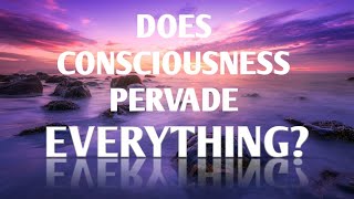 Does consciousness pervade everything?  On panpsychism  |  Dr. James Cooke