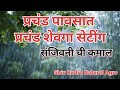 शेवगा कळी ,शेवगा सेटींग ,प्रचंड पाऊस पडला तरी संजिवनी च्या वापरामुळे झालेले सेटींग आणि निघालेली कळी