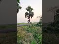 hay👋 like karo dosto popular skating boys skatinglover stunt foryou bdskating skater shorts