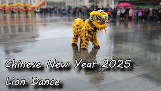 Chinese New Year 2025 Lion Dance - The Year of the Wood Snake