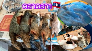 ตลาดดงเมืองไชพูทอง แขวงสะหวันนะเขต สปปลาว 🇱🇦