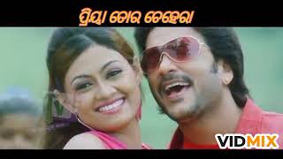 Mana Tate deideli Debara thila(ମନ ତତେ ଦେଇଦେଲି) song With odia lyrical Name