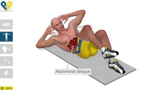 Six Pack Abs  Alternating Crunch   YouTube