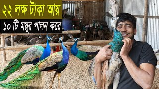 ময়ূর পাখি পালন করে 2200000 টাকা আয় - পালন পদ্ধতি আয় ব্যয় - সহজ পদ্ধতিতে ময়ূর পালন - Peacock Farm