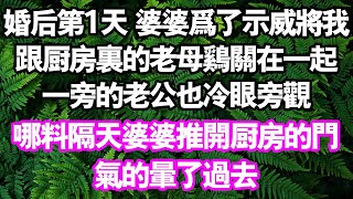 嫁給老公的第一天。婆婆為了示威，將我跟家裡的老母雞關在一起。第二天，婆婆看著滿地的雞毛對我破口大罵。我卻悠閒的坐在藤椅上，手裡握著大雞腿。我開口一句話，婆婆氣暈了#情感故事#中老年頻道