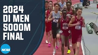 Men's 5000m Final - 2024 NCAA indoor track and field championships