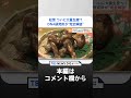 ｢マツタケが食べ放題になる日が来るかも｣　全遺伝情報の解読に初成功｜tbs news dig shorts