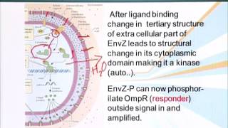 BIO201_Topic103