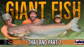 GIANT FISH Thailand Part 2 | Ali Hamidi | Siamese Carp, Mekong Catfish and MORE | One More Cast