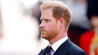 ‘Lonely time for Harry’: Embattled prince ‘seeing the costs’ of royal split