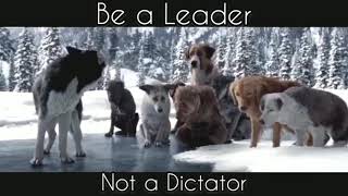 Be a leader | best motivational video status| whatsapp status video|motivational video|be a !wolf