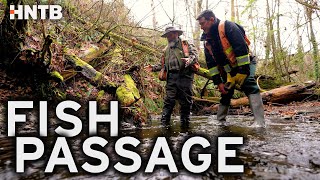 HNTB Fish Passage Program