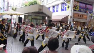 2016 第１回YOSAKOI高松祭り　岡山うらじゃ連  陽舞笑～ひまわり～　南部三町ドーム会場