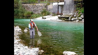 Troutfishing River Enns @ Wolfswasser