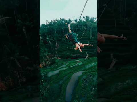 Bali Swing #shorts #bali #baliswing #traveling #travelphotography #adventure #balitrip #travel