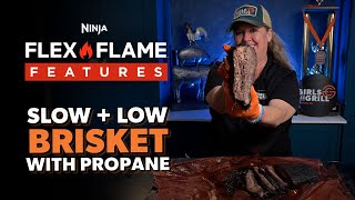 Slow \u0026 Low Brisket on the Ninja FlexFlame