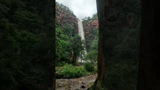 Lankamalla forest water fall