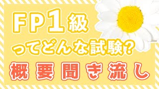 【聞き流しOK】FP1級ってどんな試験？【概要紹介】#fp1級