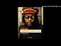 Peter-Tosh-Mystery-Babylon Queendom [INSTRUMENTAL REMAKE
