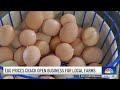 egg prices crack open business for local farms