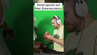 Hund spuckt auf Trymacs Greenscreen😂