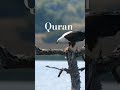 Surah| 25-Al-Furqan urdu translation  #quran #qurantranslation #shorts #musahussain