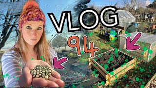 #94 New Slatted Bed, Sowing Peas and Generally tidying the Shed area for Spring! || Plot 37