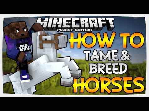(0.15.0) How To Tame/Breed Horses, Donkeys, & Mules | Minecraft PE (0.15.0) How To Tame/Breed Horses, Donkeys, & Mules | Minecraft PE